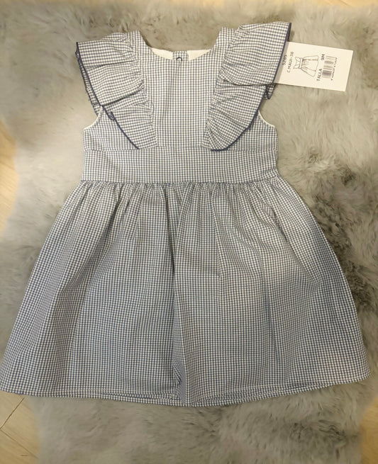 Rapife Blue Check Dress