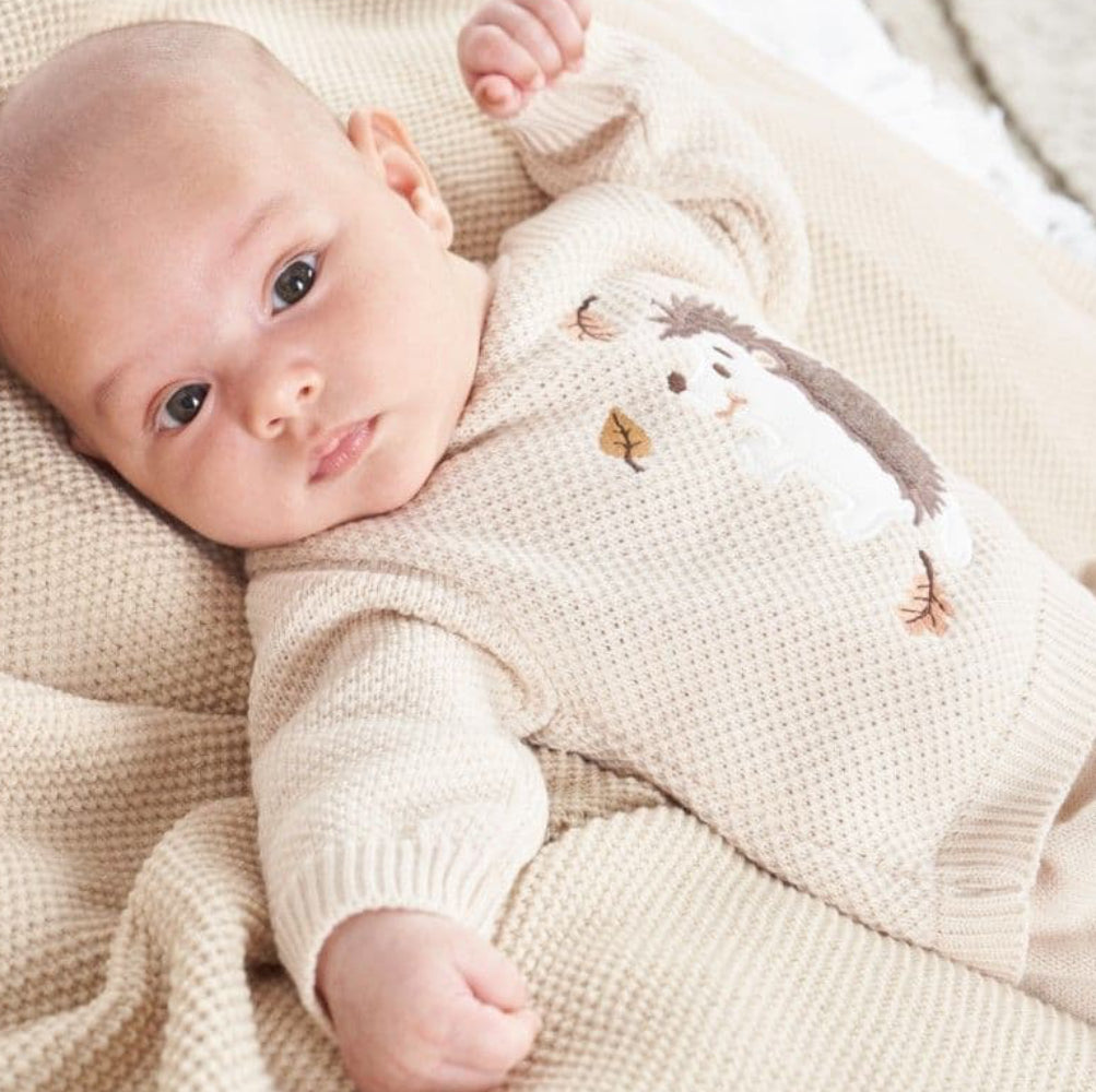 Dandelion Hedgehog Knitted Outfit